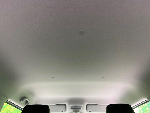 ハスラー(新潟県長岡市)