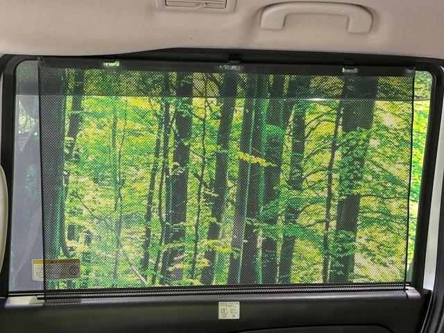 セレナ（新潟県長岡市）