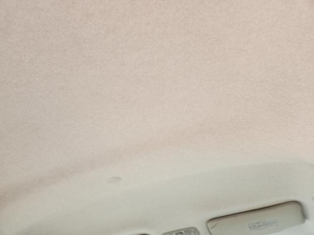 タント（新潟県新潟市秋葉区）