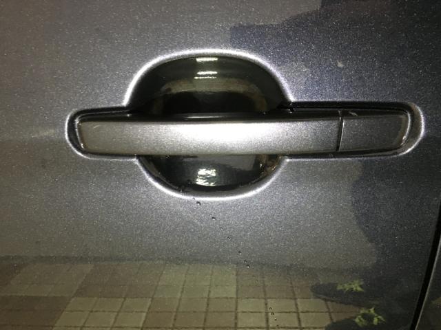 デイズルークス(新潟県新潟市西区)