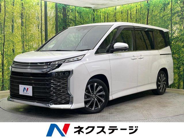 ヴォクシー（新潟県新潟市南区）