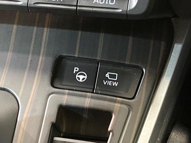 ヴォクシー(新潟県新潟市南区)