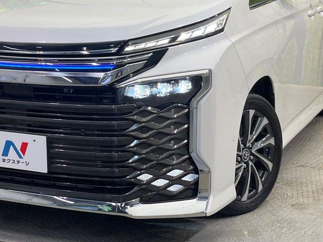 ヴォクシー(新潟県新潟市南区)