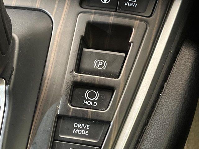 ヴォクシー(新潟県新潟市南区)