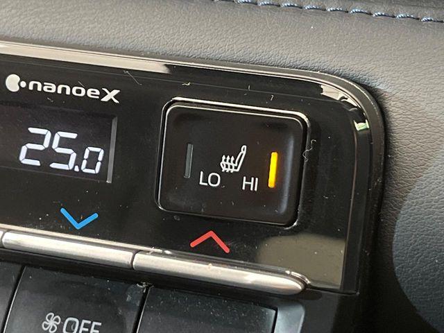 ヴォクシー(新潟県新潟市南区)