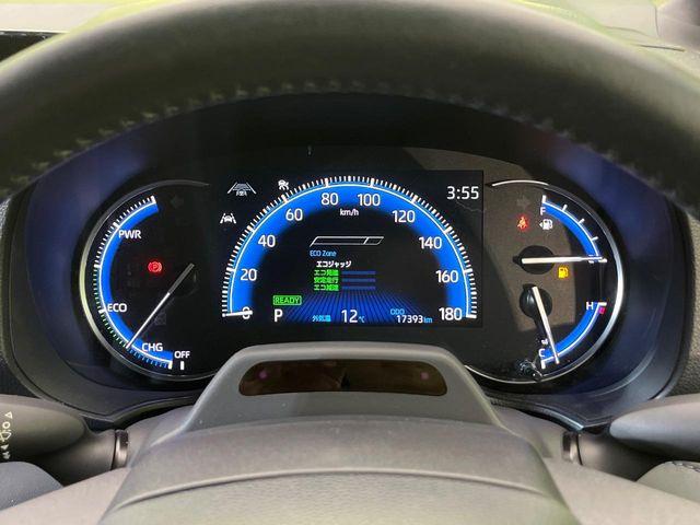 ヴォクシー(新潟県新潟市南区)