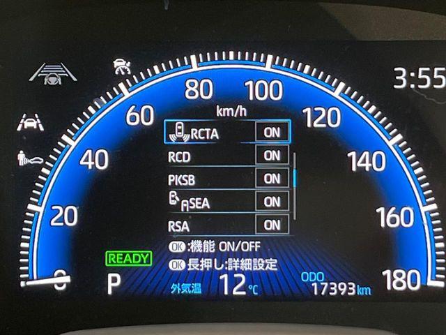 ヴォクシー(新潟県新潟市南区)