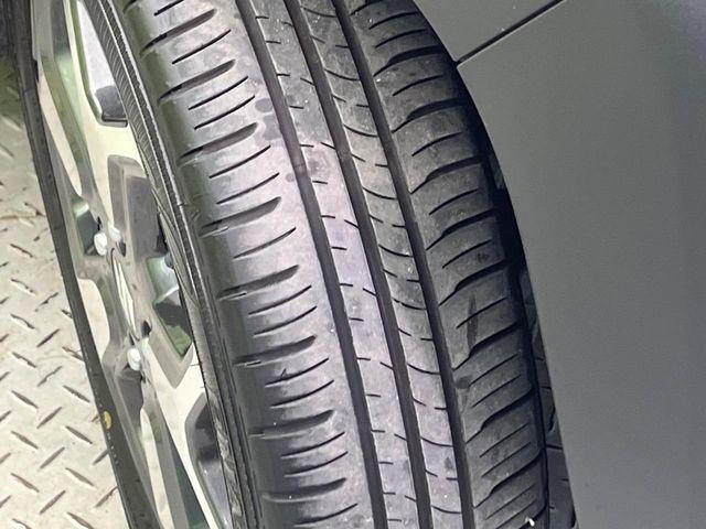 ハスラー(新潟県新潟市南区)