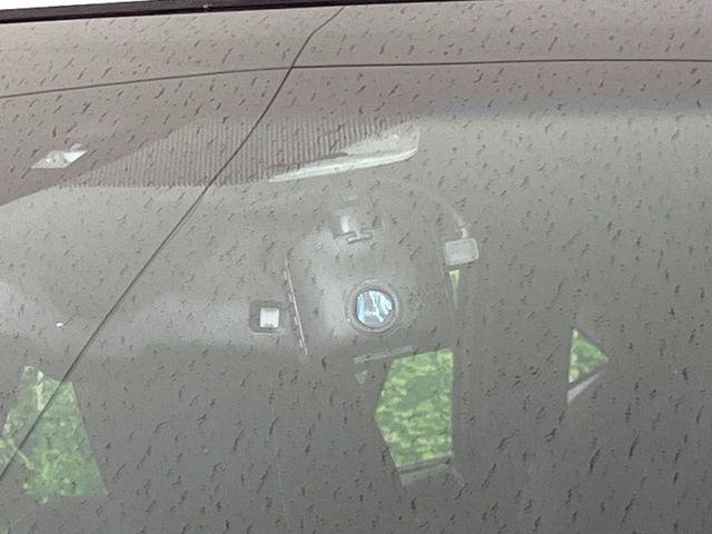 ハリアー(新潟県長岡市)