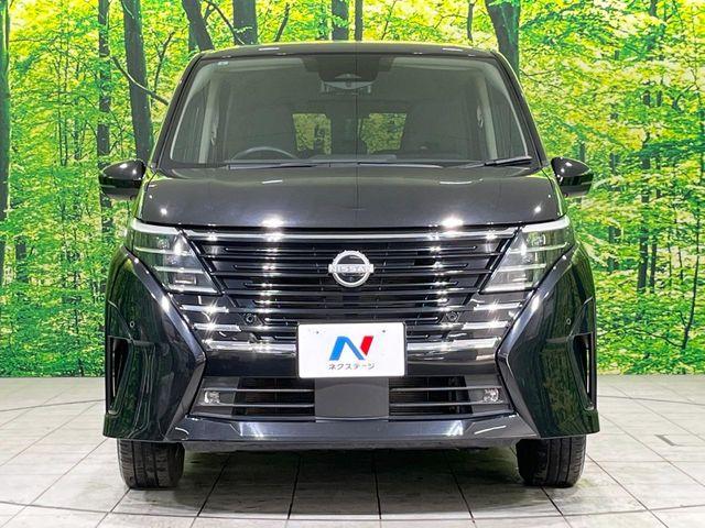 セレナ(新潟県長岡市)