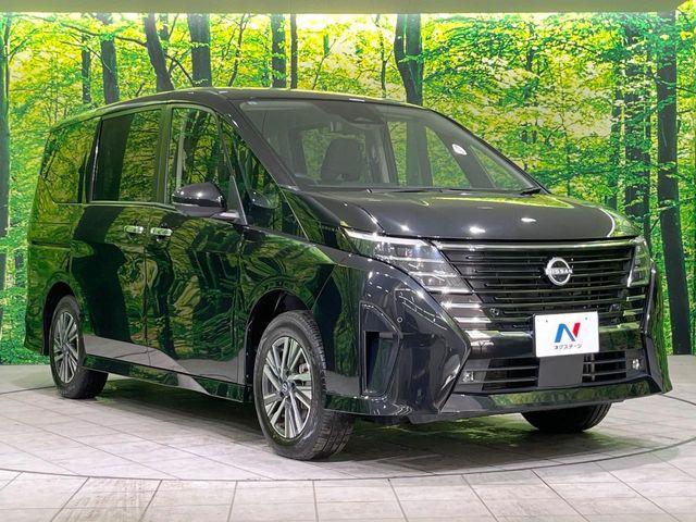 セレナ(新潟県長岡市)