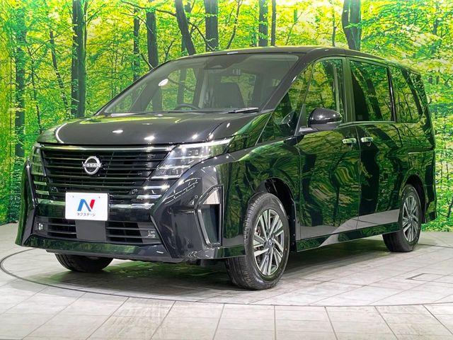 セレナ(新潟県長岡市)