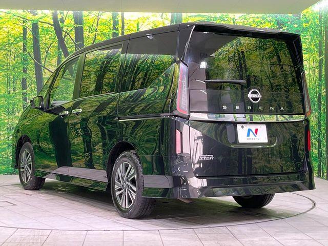 セレナ(新潟県長岡市)