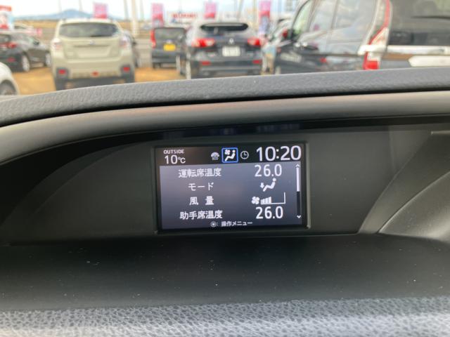 ヴォクシー（新潟県新潟市南区）