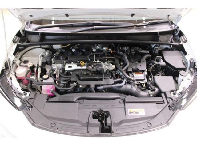 プリウス(新潟県新潟市東区)