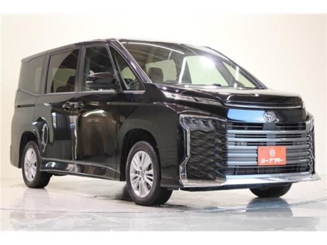 ヴォクシー（新潟県新潟市東区）