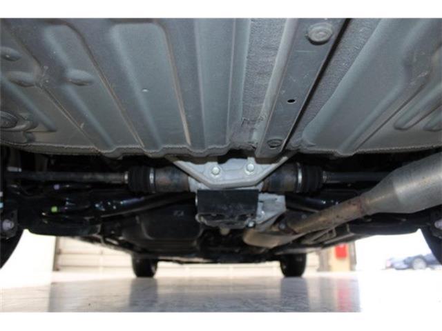 ノア（新潟県新潟市東区）