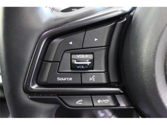 レヴォーグ（新潟県新潟市東区）