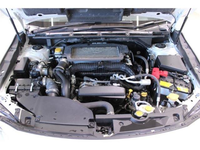 レヴォーグ（新潟県新潟市東区）