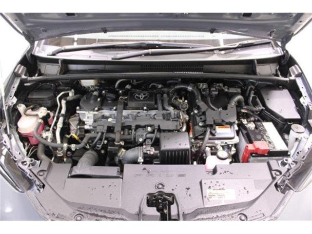 プリウス(新潟県新潟市東区)