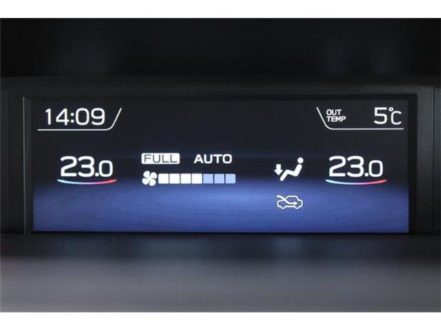 レヴォーグ(新潟県新潟市東区)