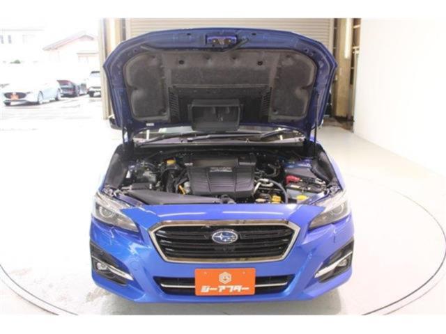 レヴォーグ(新潟県新潟市東区)