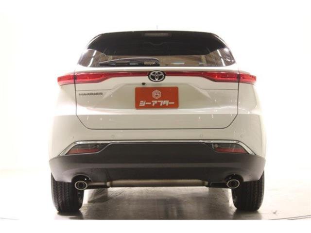 ハリアー（新潟県新潟市東区）画像13