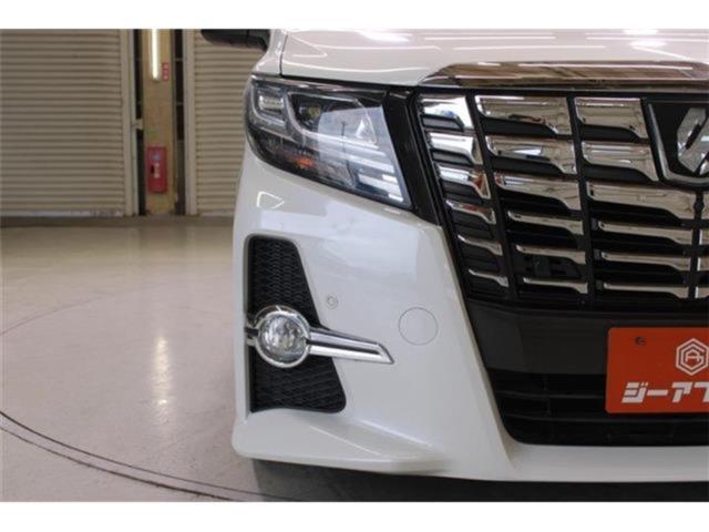 アルファード(新潟県新潟市東区)