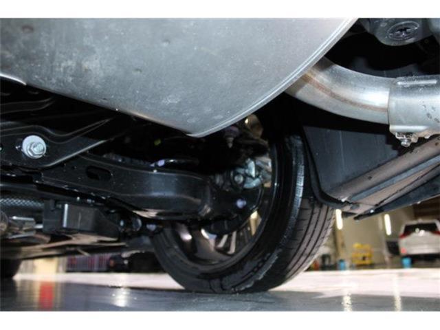 プリウス（新潟県新潟市東区）