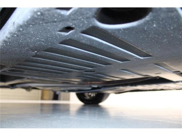 プリウス（新潟県新潟市東区）