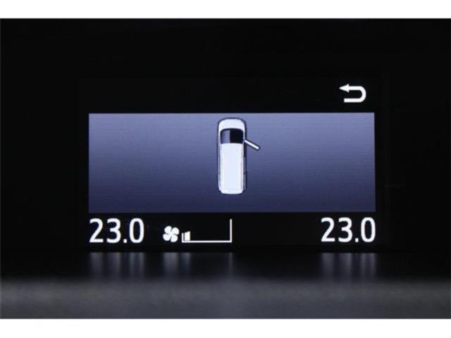 ヴォクシー（新潟県新潟市東区）