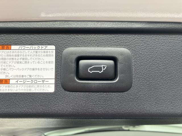 アルファード（新潟県新潟市西区）