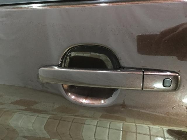 デイズ(新潟県新潟市西区)