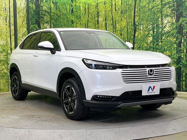 ヴェゼル（新潟県新潟市南区）