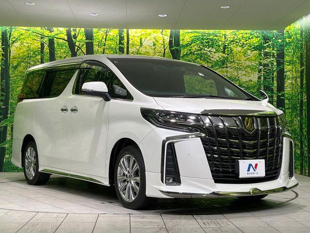 アルファード（新潟県長岡市）