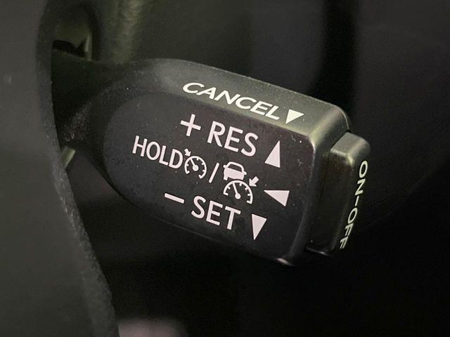 アルファード（新潟県長岡市）