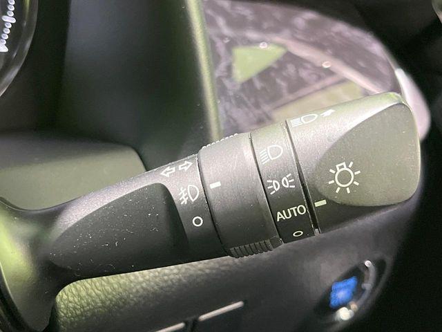 アルファード（新潟県長岡市）