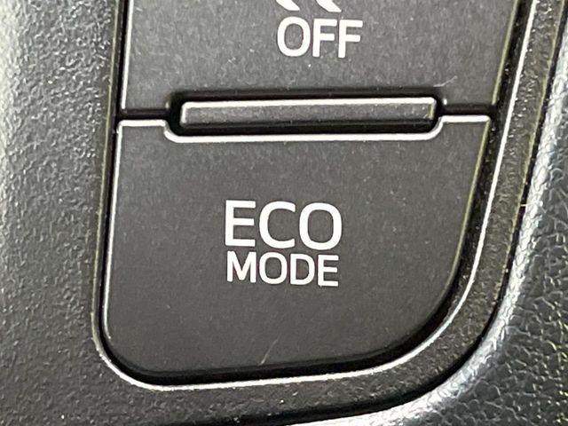 アルファード（新潟県長岡市）