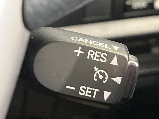 ヴォクシー（新潟県新潟市南区）