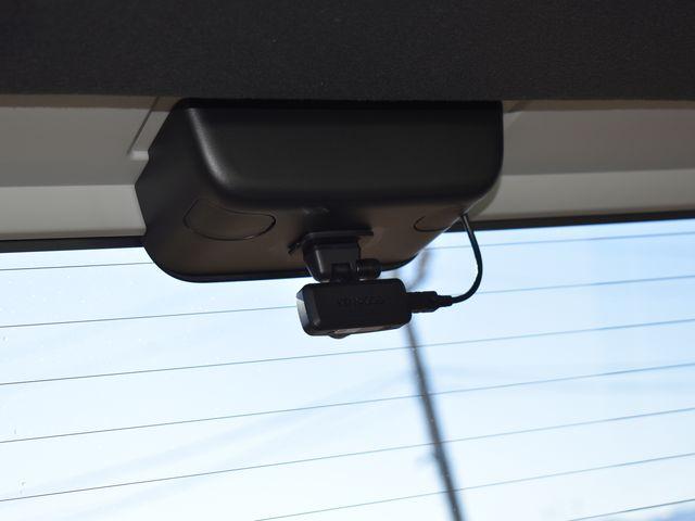 タフト（新潟県上越市）画像14