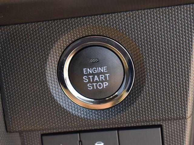 タフト（新潟県上越市）画像17