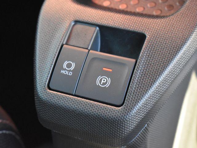 タフト（新潟県上越市）画像22