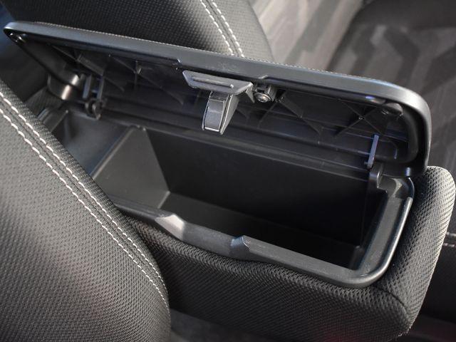 タフト（新潟県上越市）画像27