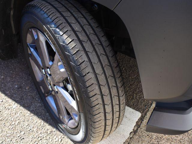 タフト（新潟県上越市）画像34