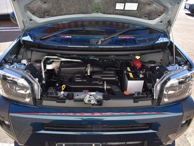 タフト（新潟県上越市）画像39