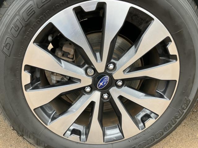 アウトバック（新潟県新潟市南区）