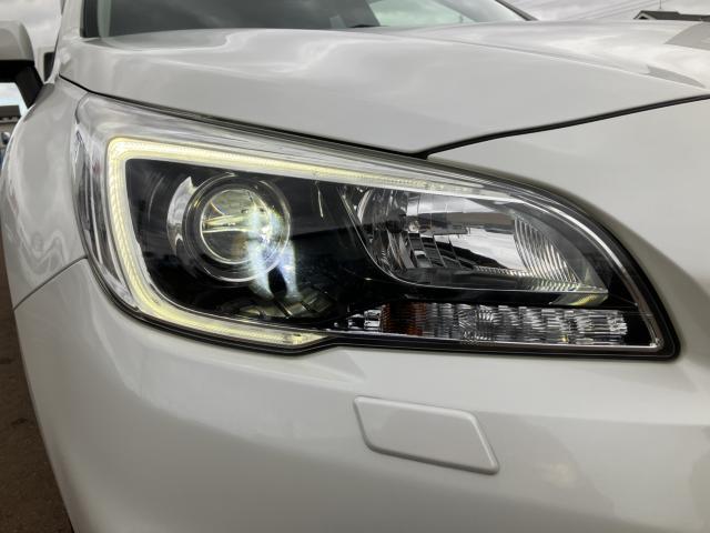 アウトバック（新潟県新潟市南区）