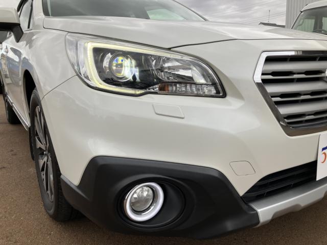 アウトバック（新潟県新潟市南区）