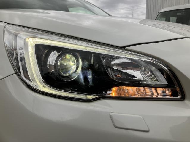 アウトバック（新潟県新潟市南区）