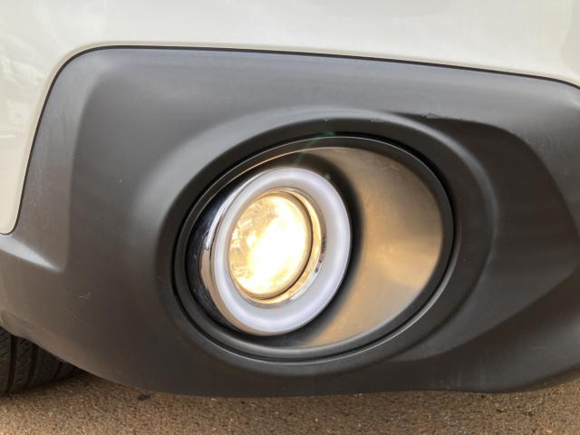 アウトバック（新潟県新潟市南区）